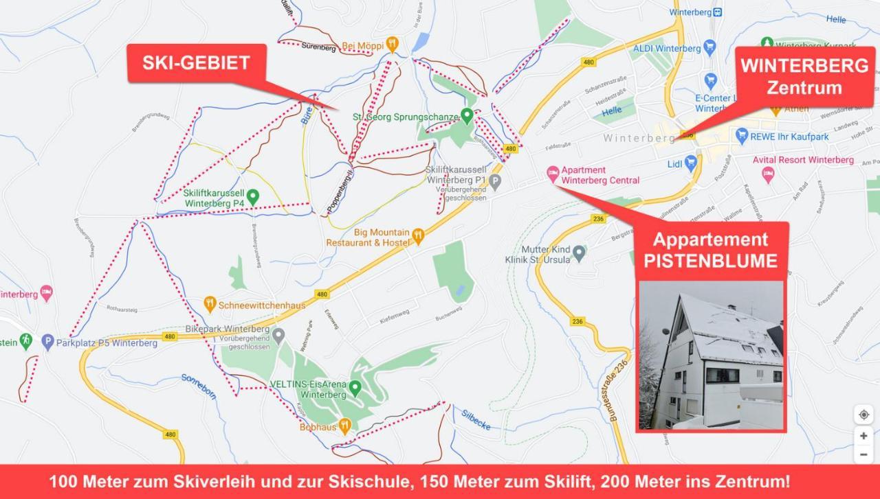 Pistenblume Apartment - Skipiste, Stadtzentrum Winterberg Esterno foto
